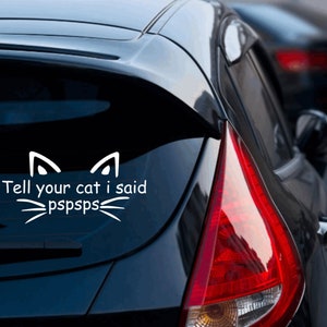 My Owner Beats Me Car Decal Funny Decal Inappropriate Humor 