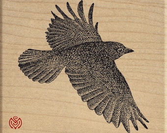 以下が含まれることがあります： 広げた翼で飛んでいる鳥の白黒の線画イラスト。鳥は、詳細で複雑なスタイルで描かれています。
