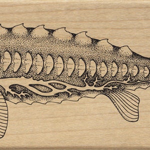Großer Fischstempel mit langer Schnauze für alle Arten von Handwerk wie Journaling, Scrapbooking, Collage, Kartenherstellung und vieles mehr!
