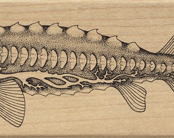 Großer Fischstempel mit langer Schnauze für alle Arten von Handwerk wie Journaling, Scrapbooking, Collage, Kartenherstellung und vieles mehr!