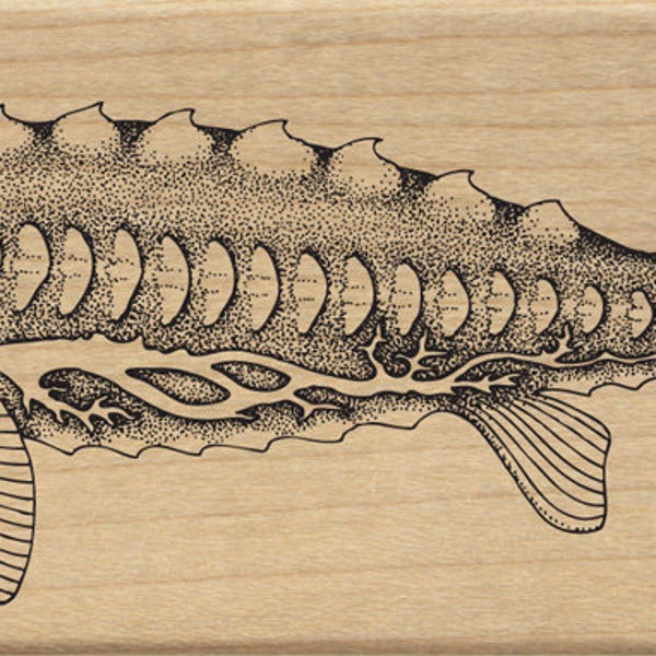 Fish Rubber Stamp Etsy