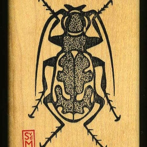 Funky Beetle Rubber Stamp for Crafting and Making Art