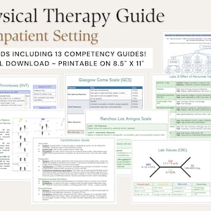 Physical Therapy Guide in the Inpatient Setting (Digital Version)
