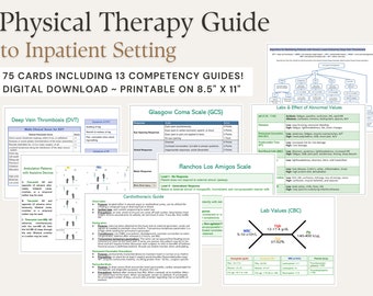 Physical Therapy Guide in the Inpatient Setting (Digital Version)