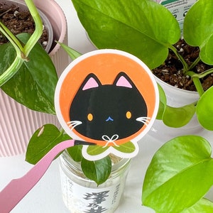 Gato con sombrero naranja // Pegatina de vinilo brillante // Ilustración dibujada a mano