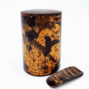 Beautiful Cherry bark Chazutsu