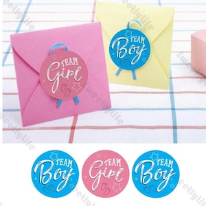 500 pezzi Adesivi per rivelare il sesso del bambino e della bambina Adesivi per baby shower Compleanno Cottura Sacchetto regalo Etichetta busta Decorazioni per feste Adesivi