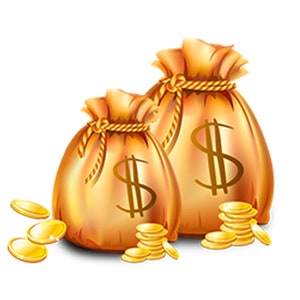 May include: Two golden money bags with dollar signs on them, each with a pile of gold coins in front of them.