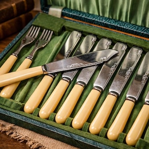 Ensemble de couverts vintage années 50 avec manche en bakélite crème - 6 couteaux et 6 fourchettes dans un étui en soie verte