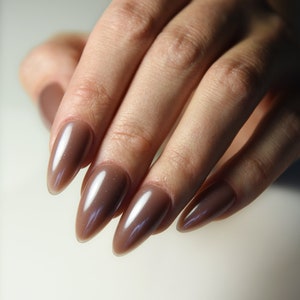 CHOCOLATE GLAZED DONUT | Celebrity | Glossy Handpainted press on nails | Stiletto Oval Almond Square Coffin Balerina | Long Medium Short