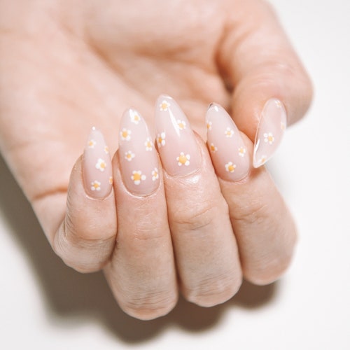 Daisy Clear Pink Glossy Or Matte Reusable Press On Nails Etsy Ireland