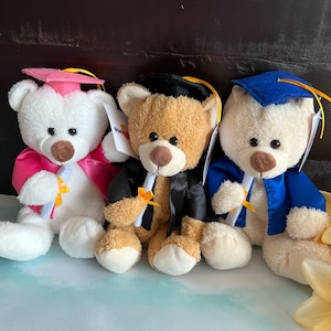 2025 Graduation Teddy Bear/Peronalized/Customized/Keepsake/Unique/Memorable/SK/Grade 8/Grade 5/High School/University/Cap/Gown/Gift Kids