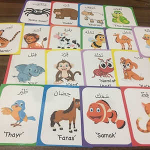 Lot de 18 cartes-éclair sur les animaux arabes du Coran ! - Apprenez le Coran, l'école musulmane à la maison, l'islam, les animaux arabes.