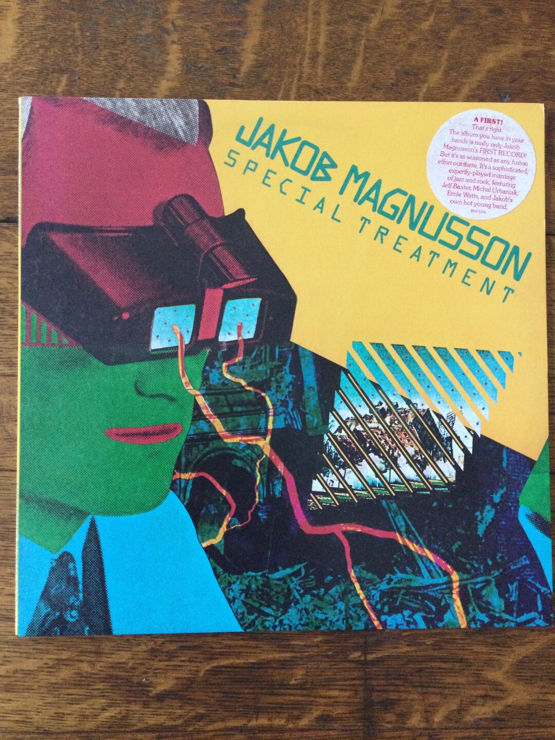 Jakob Magnusson Special Treatment Vinyl Stereo LP 1979 WB Records 
