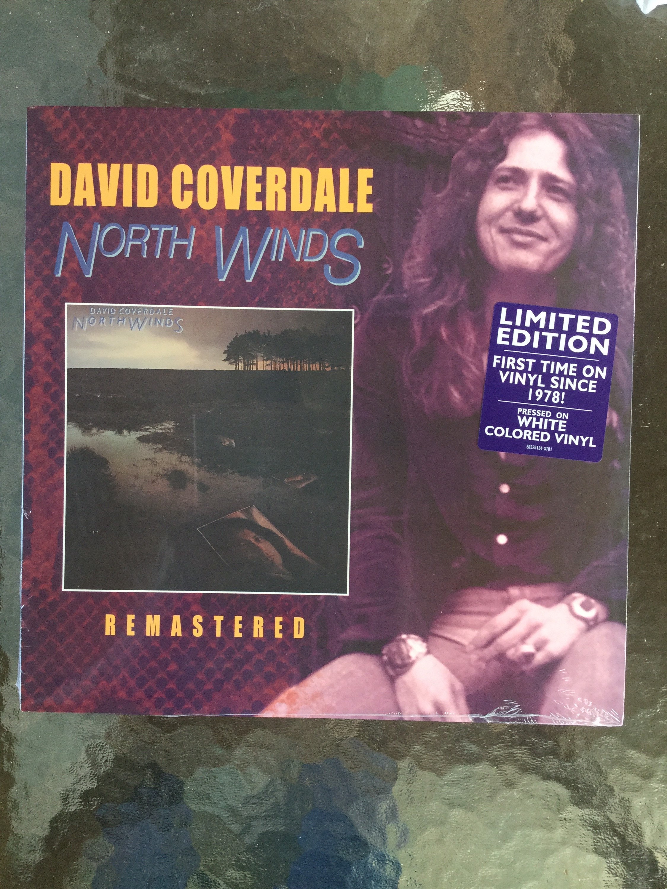 David Coverdale North Winds White Colored Vinyl LP Eagle - Etsy