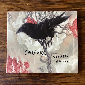 Peut inclure: Un corbeau noir perché sur une branche avec des fleurs rouges et un fond blanc. Le texte "Calexico" et "Garden Ruin" est écrit sur la pochette de l'album.