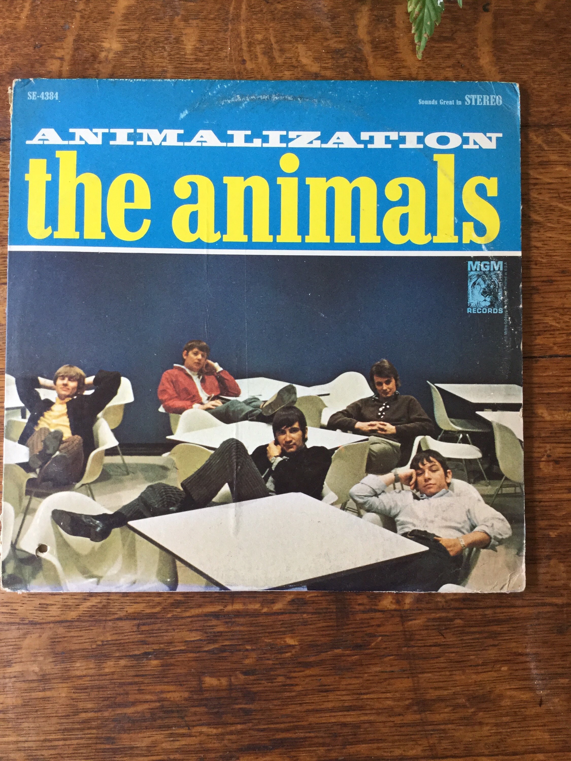 The Animals Animalization Vinyl Stereo LP 1966 MGM Records Etsy