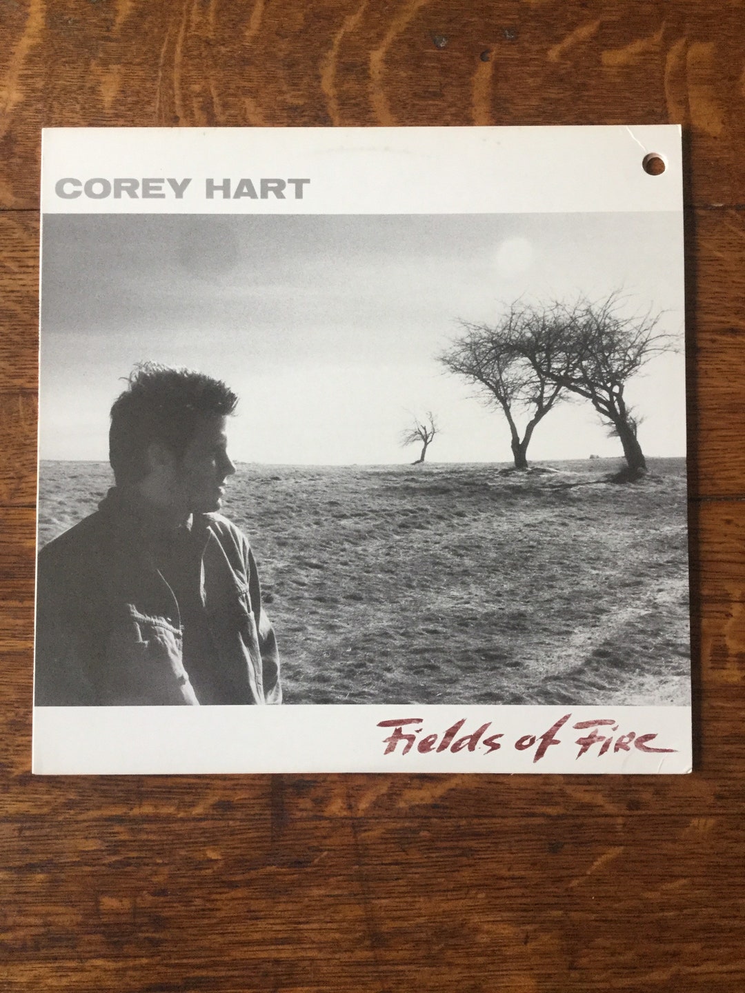 Corey Hart Fields of Fire Stereo Vinyl LP 1986 EMI America Records PW