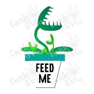 May include: A green and white plant with a large mouth and the text "FEED ME" on the pot. The plant is in a teal pot.