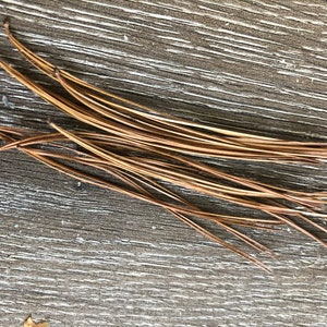 1/4 Pound Dried Eastern White Pine Needles