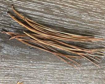 1/4 libra de agujas de pino blanco del este secas