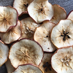 15 Dried Preserved Apple Slices