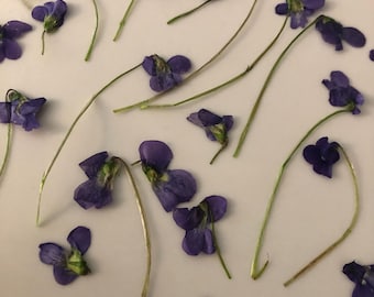 25 Pressed and Dried Organic Violets