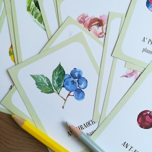 Scottish Gaelic Fruit and Veggies | Digital Download