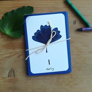 Arabic Numbers | Digital Download, language, flashcards, numerals, teacher supplies