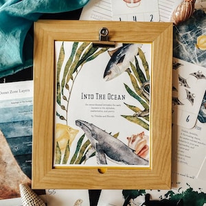 May include: A framed illustration of a whale, fish, and seashells with the text "Into the Ocean" and a description of the book as an ocean-themed invitation for early learners to the alphabet, mathematics, and poetry.