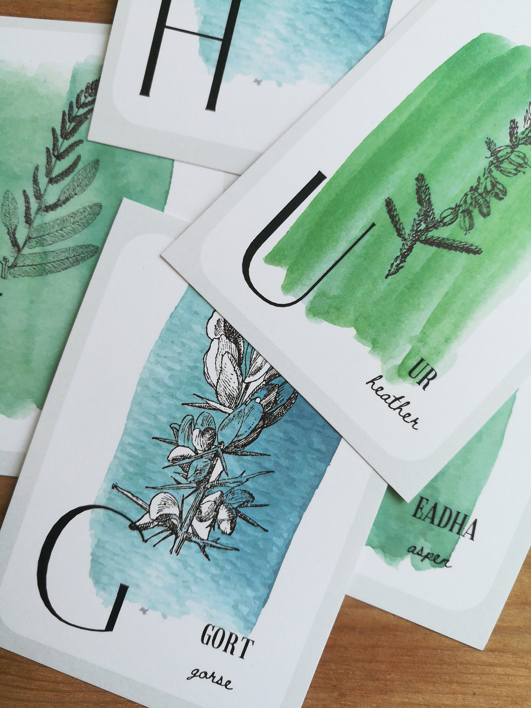 Gaelic Tree Alphabet Digital Download Tree Nature Etsy