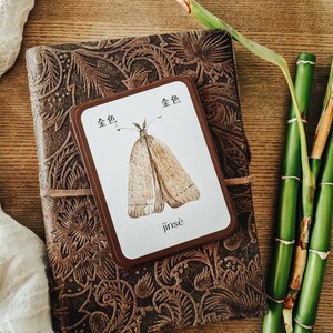 Mandarin Colors and Shapes | Digital Download, simplified, traditional, pinyin, preschool