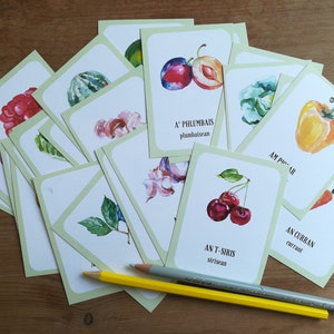 Scottish Gaelic Fruit and Veggies Digital Download - Etsy