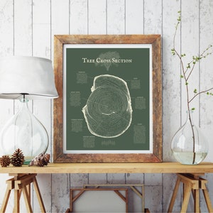 Tree Cross Section Poster | Digital Download, vintage, printable, nature