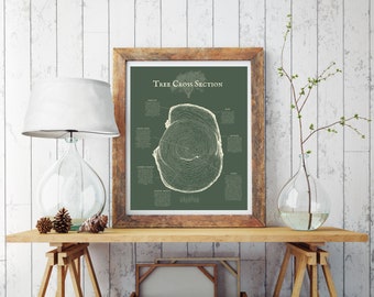 Tree Cross Section Poster | Digital Download, vintage, printable, nature