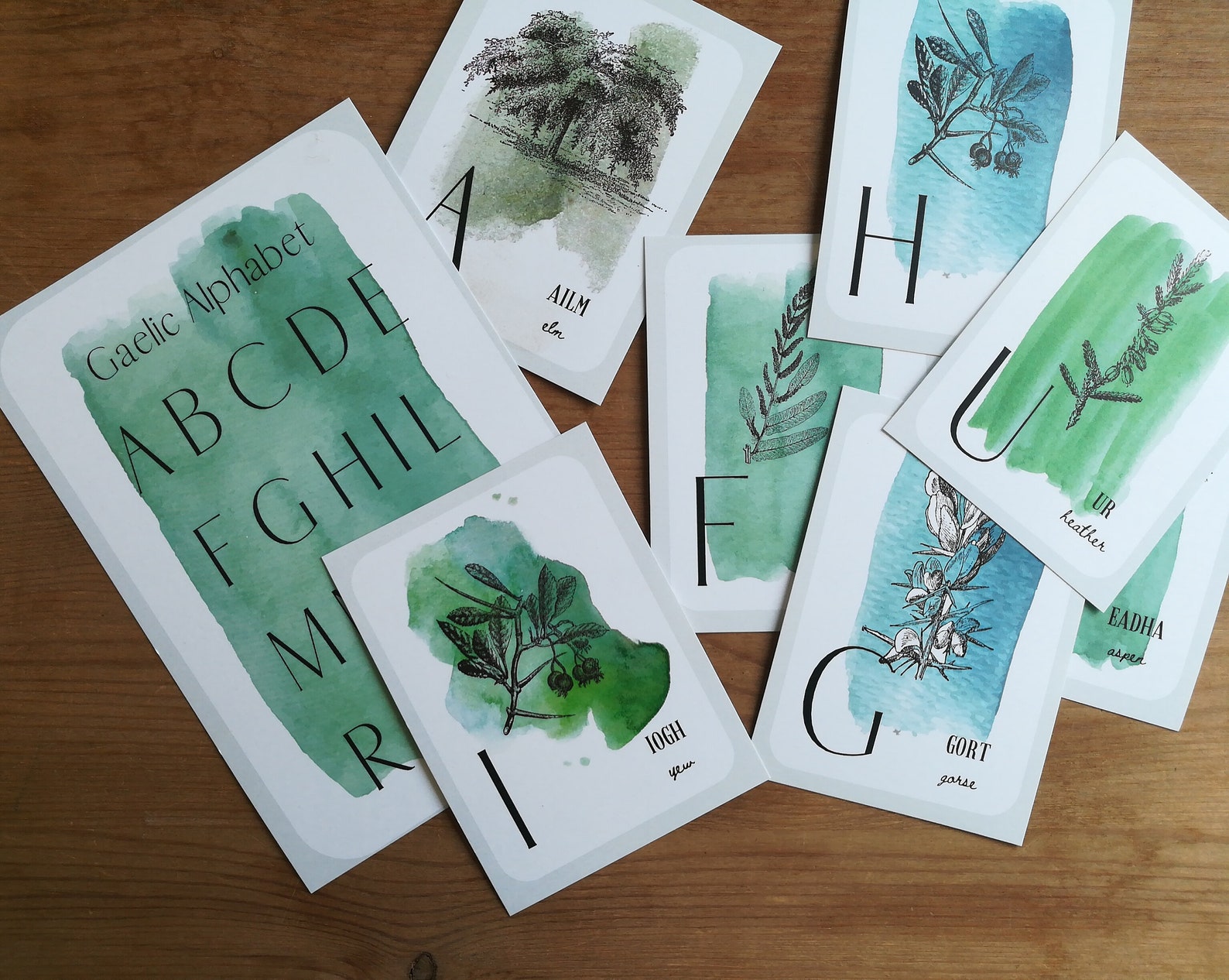 Gaelic Tree Alphabet Digital Download Tree Nature Etsy