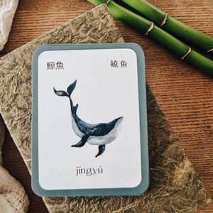 May include: An illustration of a blue and white whale on a white card with the Chinese characters for "whale" and the pinyin "jingyú" written in black.