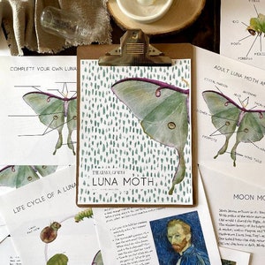 Puede incluir: Un portapapeles contiene una impresión titulada "The Giant, Gentle Luna Moth" con una ilustración de una polilla. Diagramas educativos y un retrato de Van Gogh lo rodean. La paleta de colores incluye verdes, morados y marrones.
