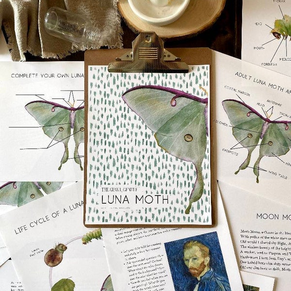 Luna Moth Unit | Digital Download, printable, Montessori, homeschool, science, life cycle