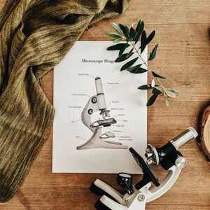 Printable Microscope Guide | Digital Download, Science - Etsy