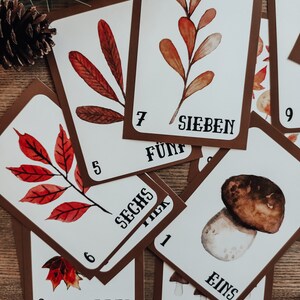 German Numbers Flashcards 1-20 image 3
