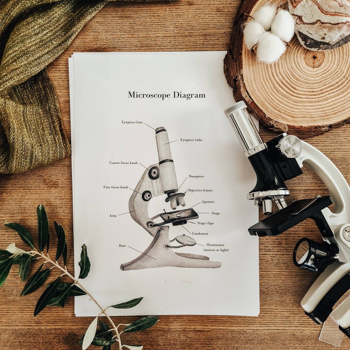 Printable Microscope Guide | Digital Download, Science - Etsy