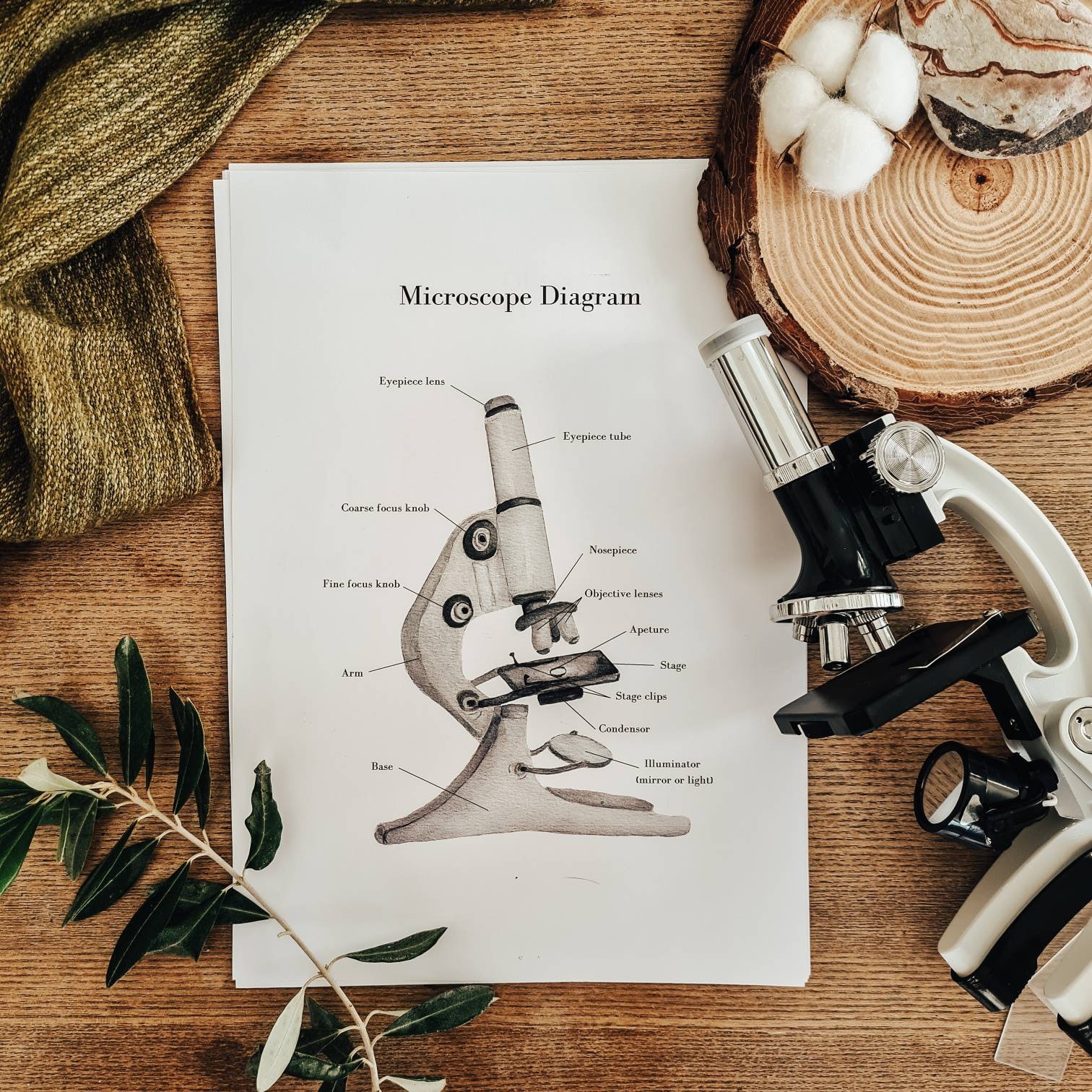 Printable Microscope Guide Digital Download Science - Etsy