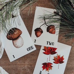 Flashcards de nombre de forêt | Téléchargement numérique, nature, Montessori, préscolaire, automne