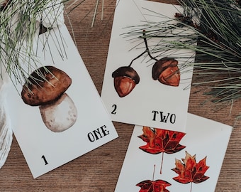 Forest Number Flashcards | Digital Download, nature, Montessori, preschool, autumn