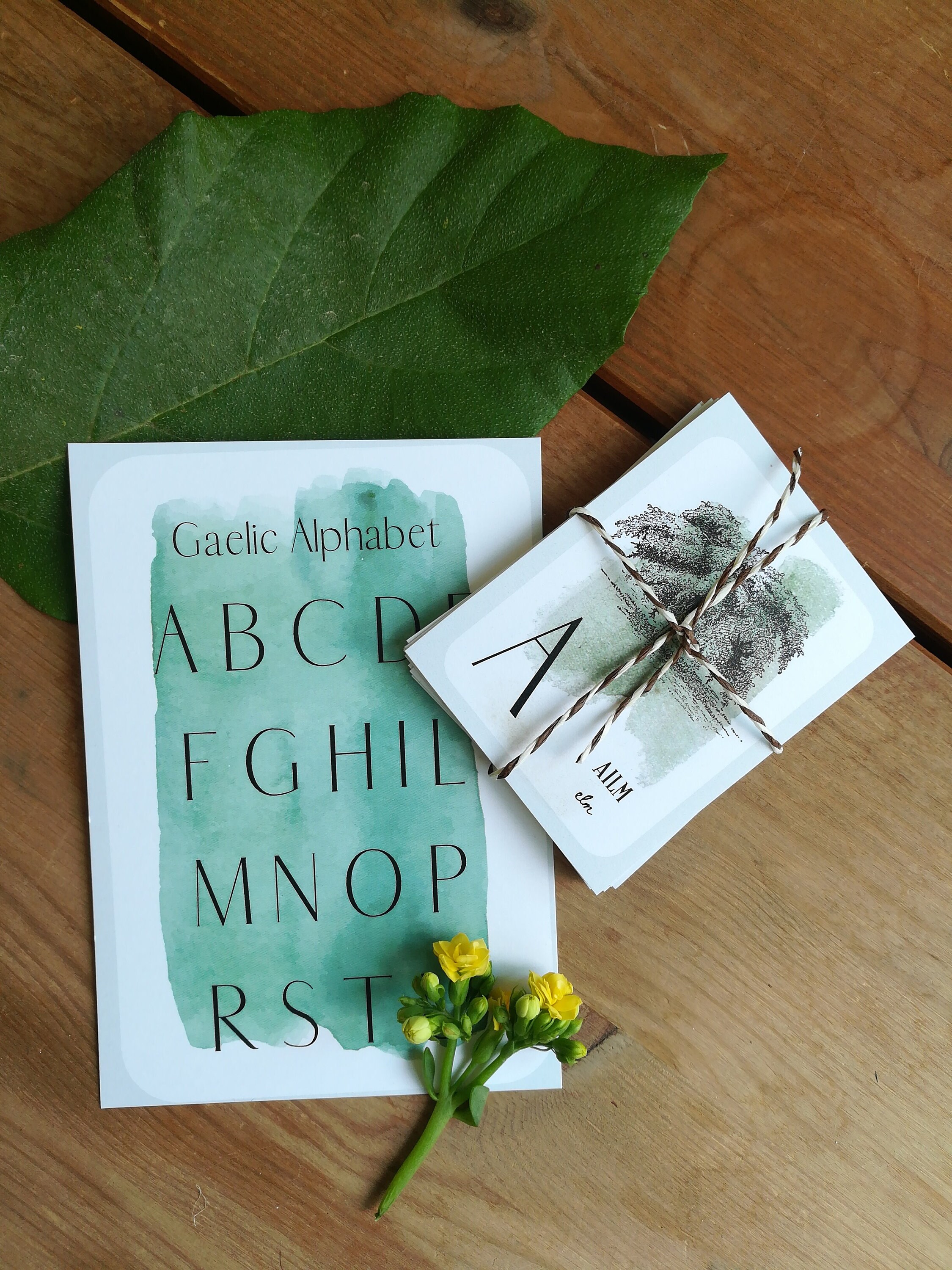 Gaelic Tree Alphabet Digital Download Tree Nature Etsy