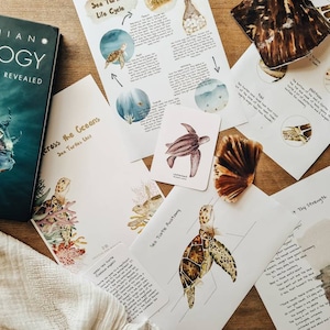 Puede incluir: Una colección de materiales educativos sobre tortugas marinas, que incluye un libro titulado "Smithsonian Analogy of the Seas Revealed", un póster con el título "Across the Oceans Sea Turtles Unit" y varias tarjetas ilustradas con información sobre la anatomie, el ciclo de vida y la fuerza de las tortugas marinas.