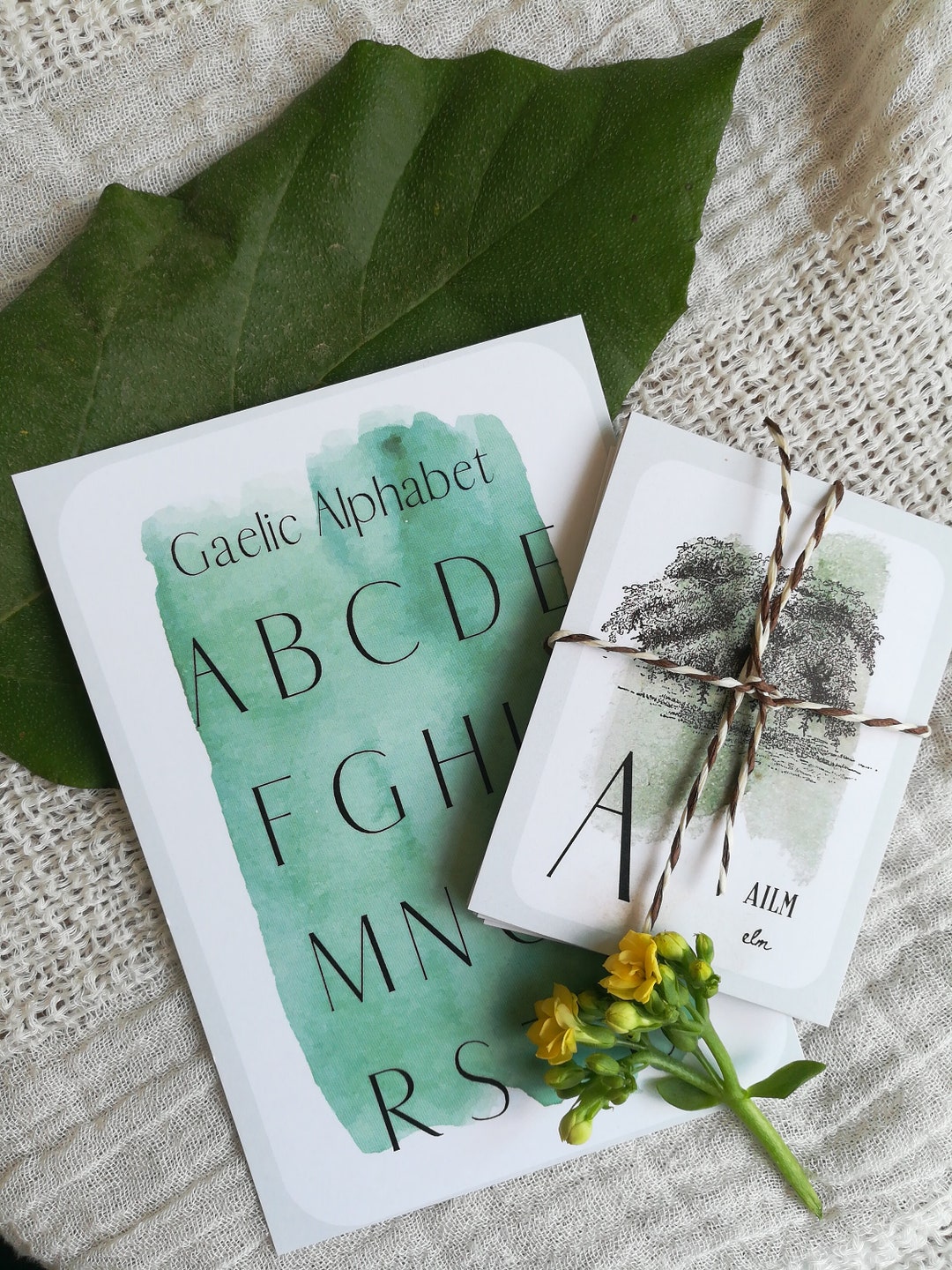 Gaelic Tree Alphabet Digital Download, Tree, Nature, Language Learning