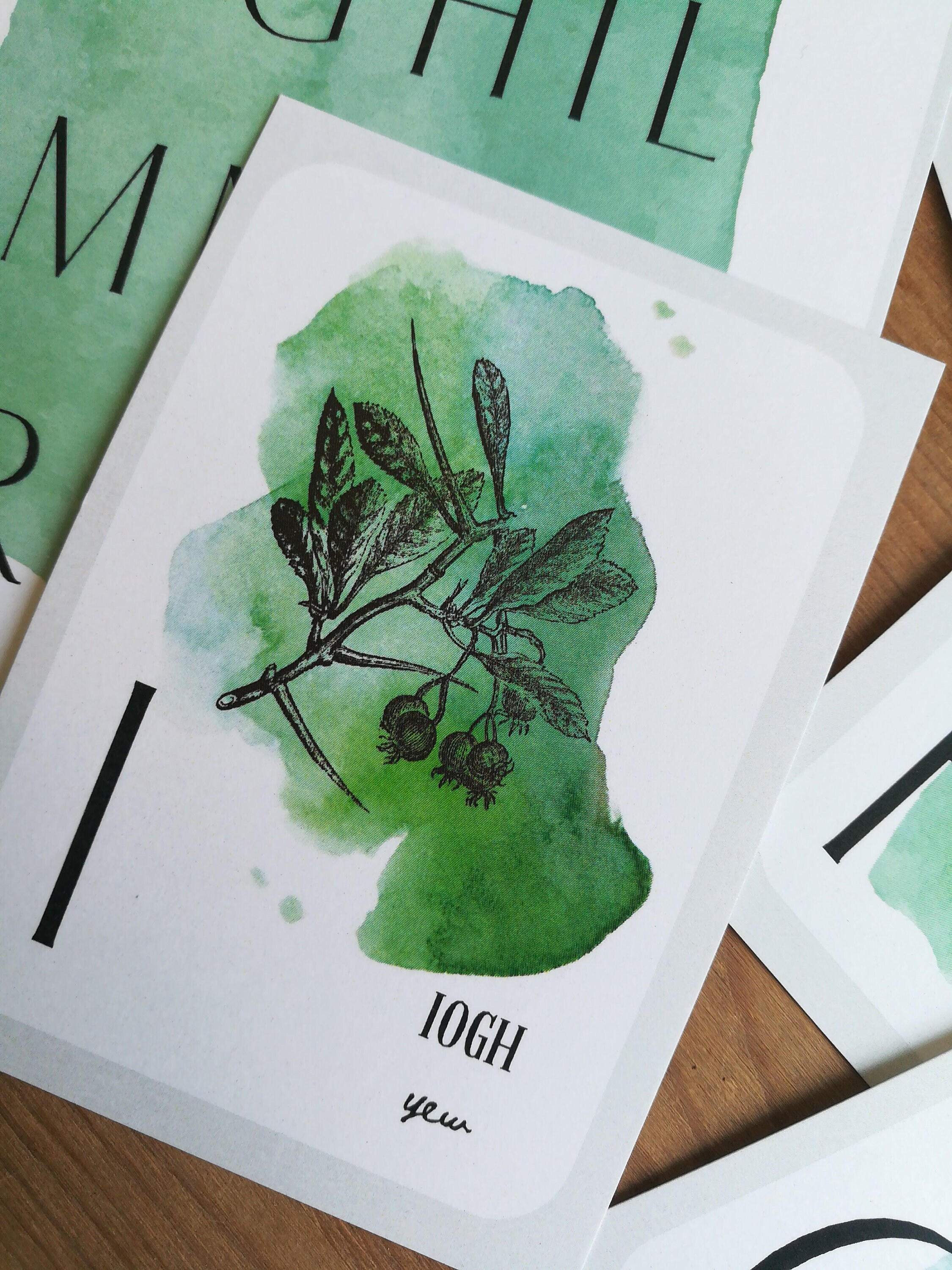 Gaelic Tree Alphabet Digital Download Tree Nature Etsy