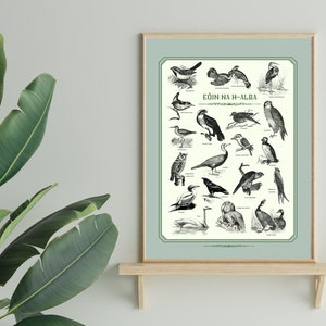 Gälischer Schottischer Vogel Poster | Digitaler Download, druckbar, vintage, schottisch, Vogelhaus, Eulen, Wandkunst